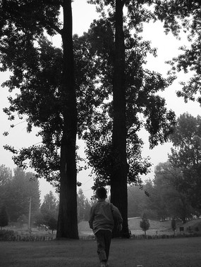 �����������ĺ���