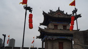 ������ͤ