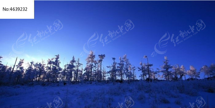 ���˰���ɭ������ڡͼƬ