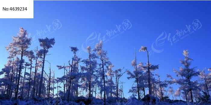 ���˰���ѩ��ͼƬ