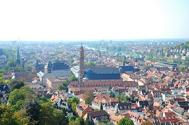 ľ�� ����