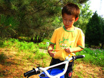 �ܶ�С����