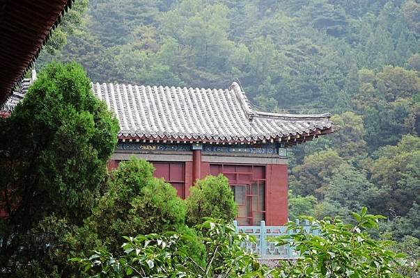 ɽ�е�����