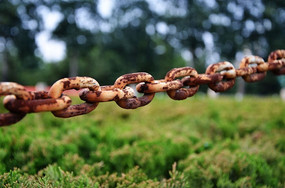 �⼣�߰ߵ�����