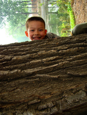 �ڴ�������ŵĺ���