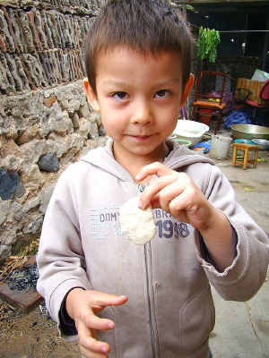 �������Բ�εĺ���