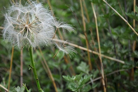 �ݴ��е��ѹ�Ӣ