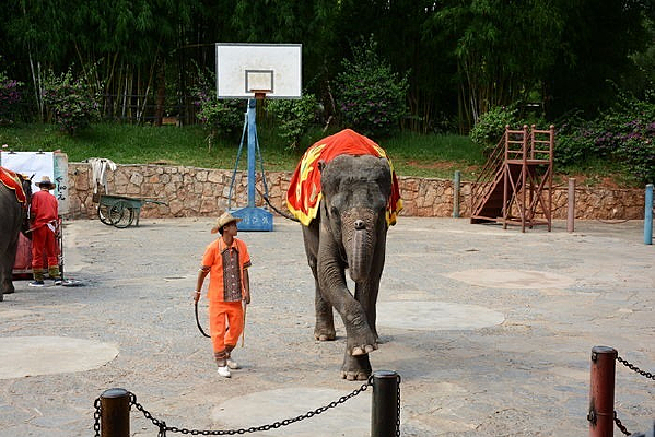 �������