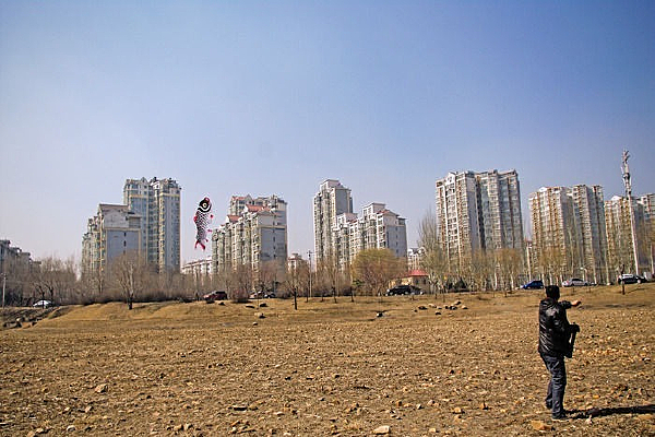 �ŷ��ݵ�����