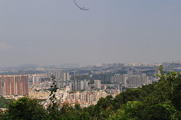 ���и�ɽ����