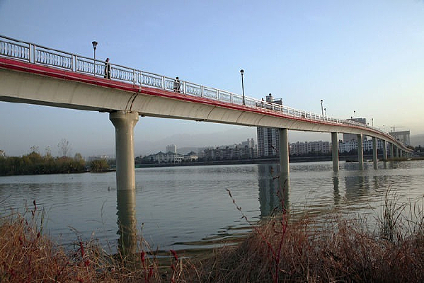 ������֦����