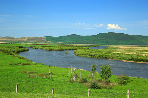 ���ϵ��̲ݵ�