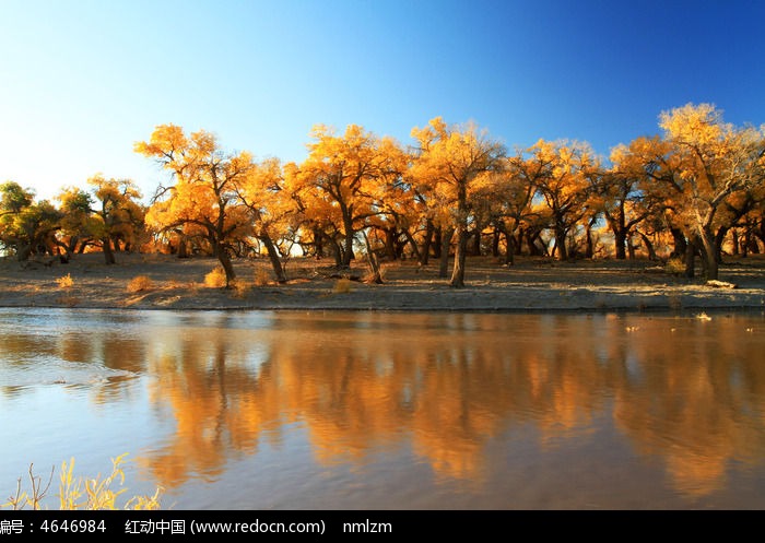 ���Ϻ�����ͼƬ