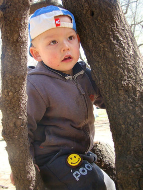 ���������еĺ���