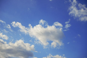 �ྻ�����