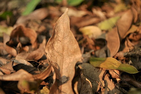 ������д