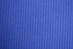 ����ֽ���