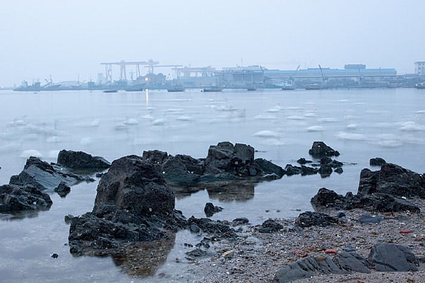 �����Ϣ��