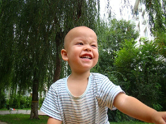 �����ߵĺ���