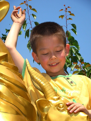 ��������ĺ���