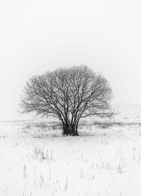 ѩ����Ĵ���