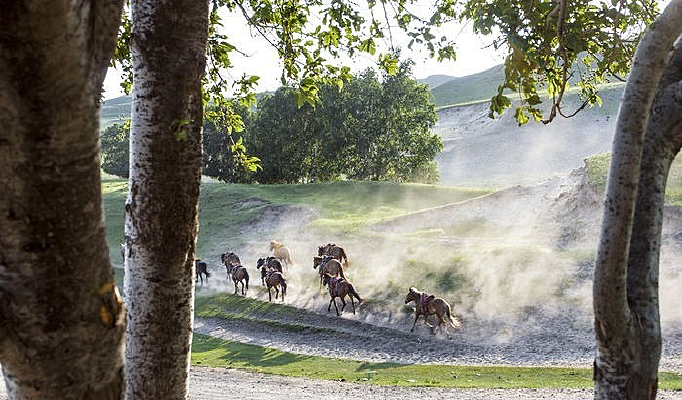 ������Ȼ���