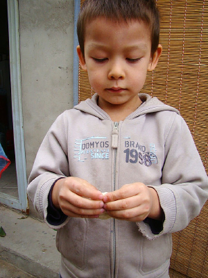 ����ĺ���