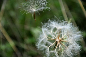 �ѹ�Ӣ�Ĺ�ʵ