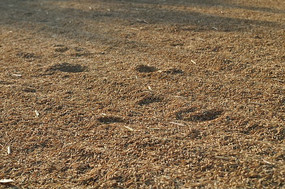 ɹ��ƽ���ϵĵ���