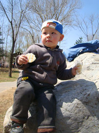 ���ű���