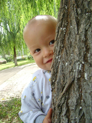 �������Ц�ĺ���