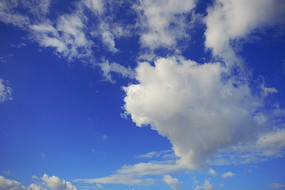 ̨����������