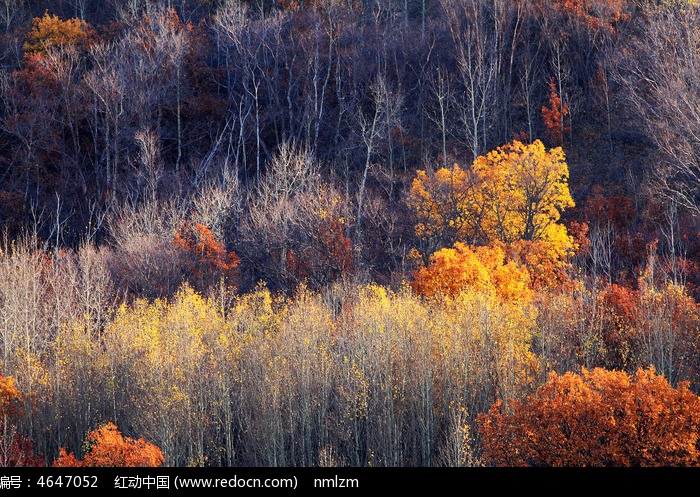 ������ͳ�羰���ﾰͼƬ