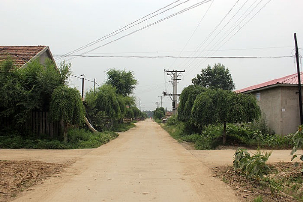 ���ֵ�����