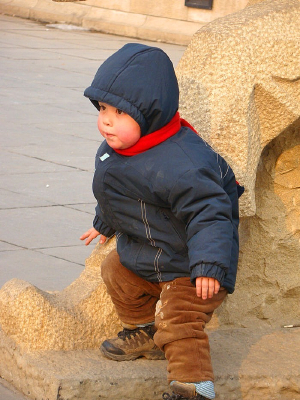 ��̨�׵ĺ���