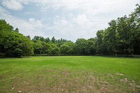 �����ƺ�������