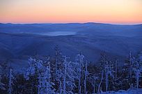 ���˰��붬��ĺɫ