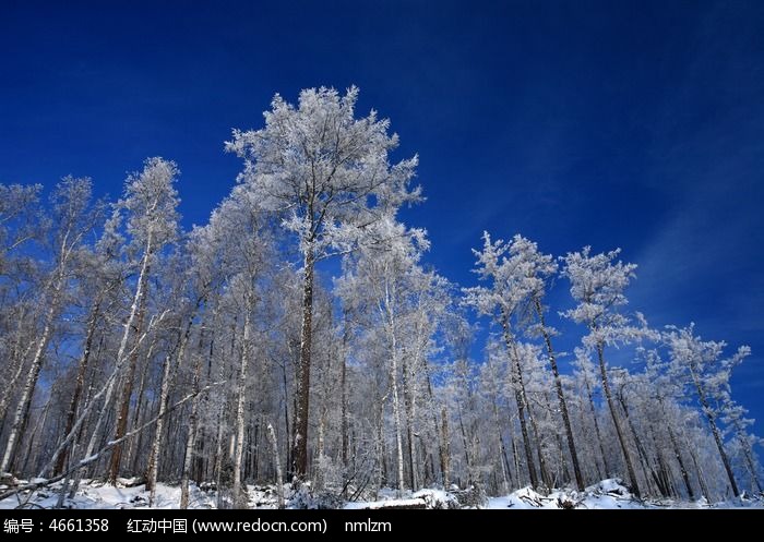 ���˰���ѩ��ͼƬ