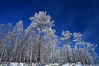 ���˰���ѩ��