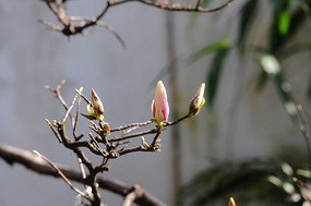 �������ŵ�������