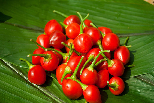 ������������