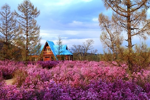 ����С��