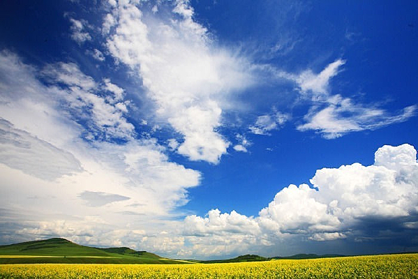 ��Ұ����