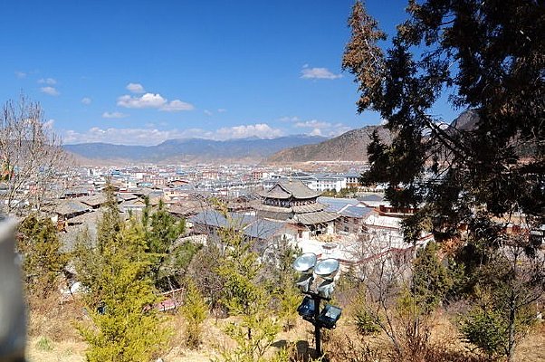 �������ֲ��