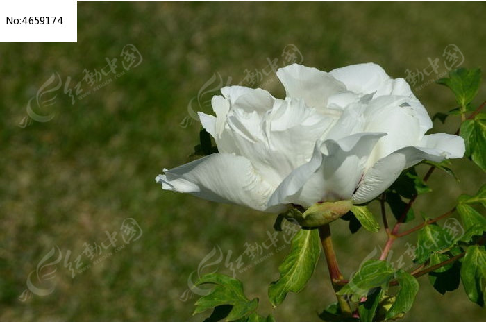 ���޵�ĵ����ͼƬ