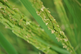 ������ˮ��