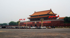 �찲�ų�����