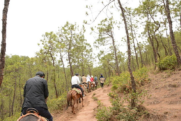 �����ŵ�ɽ