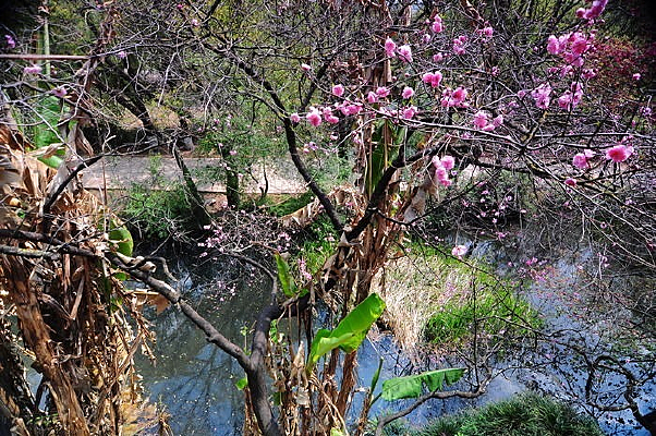 ʢ���һ���