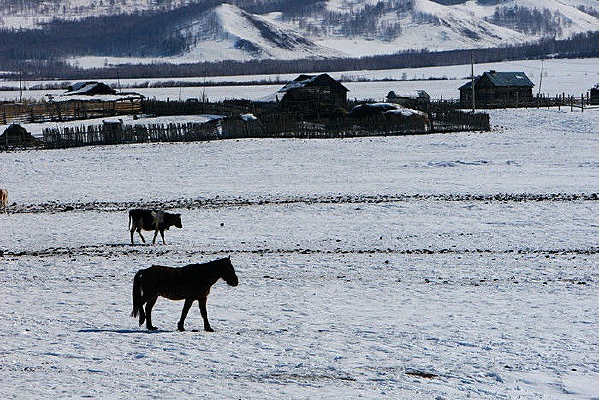 ��ɽ����